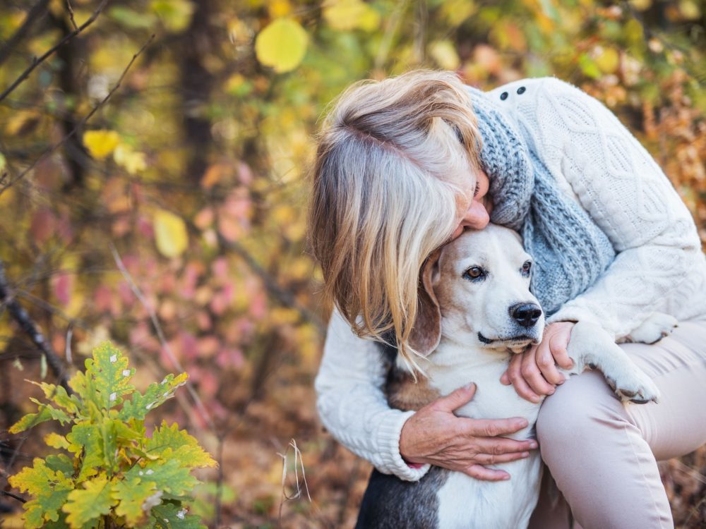 old dog with woman