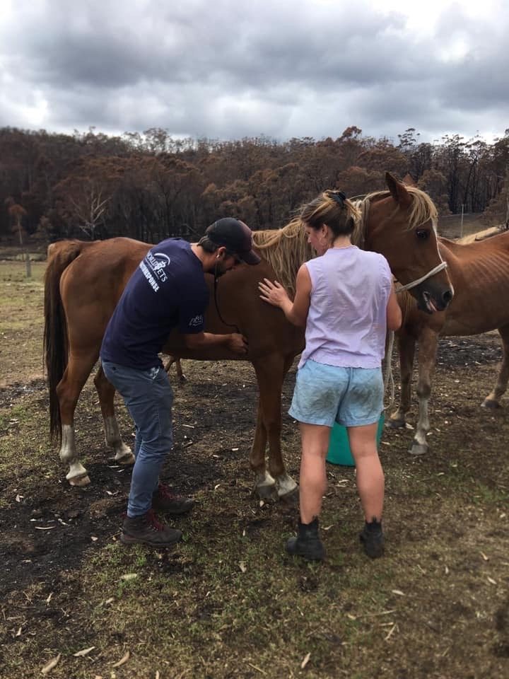 DR Ben checking local livestock DR Ben checking local livestock