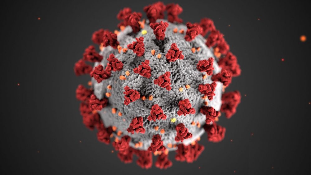 coronavirus