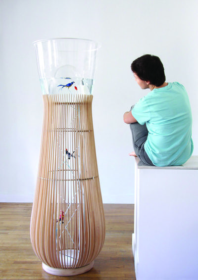 curv_petgoodies_duplex_bird_fish_by_Felipe-Ribon
