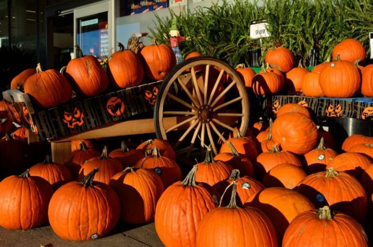 halloween-our-american-lgbtq-holiday-curve
