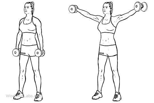 Shadow Boxing – WorkoutLabs Exercise Guide