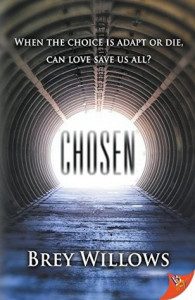 Book Review: 'Chosen' by Brey Willows