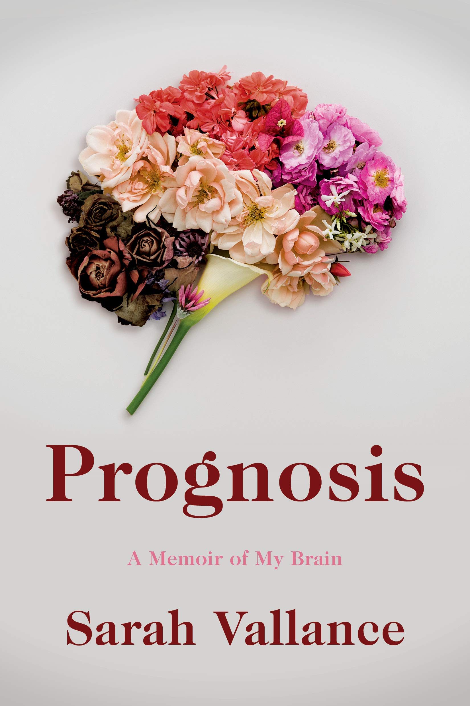 Review: Prognosis - Sarah Vallance